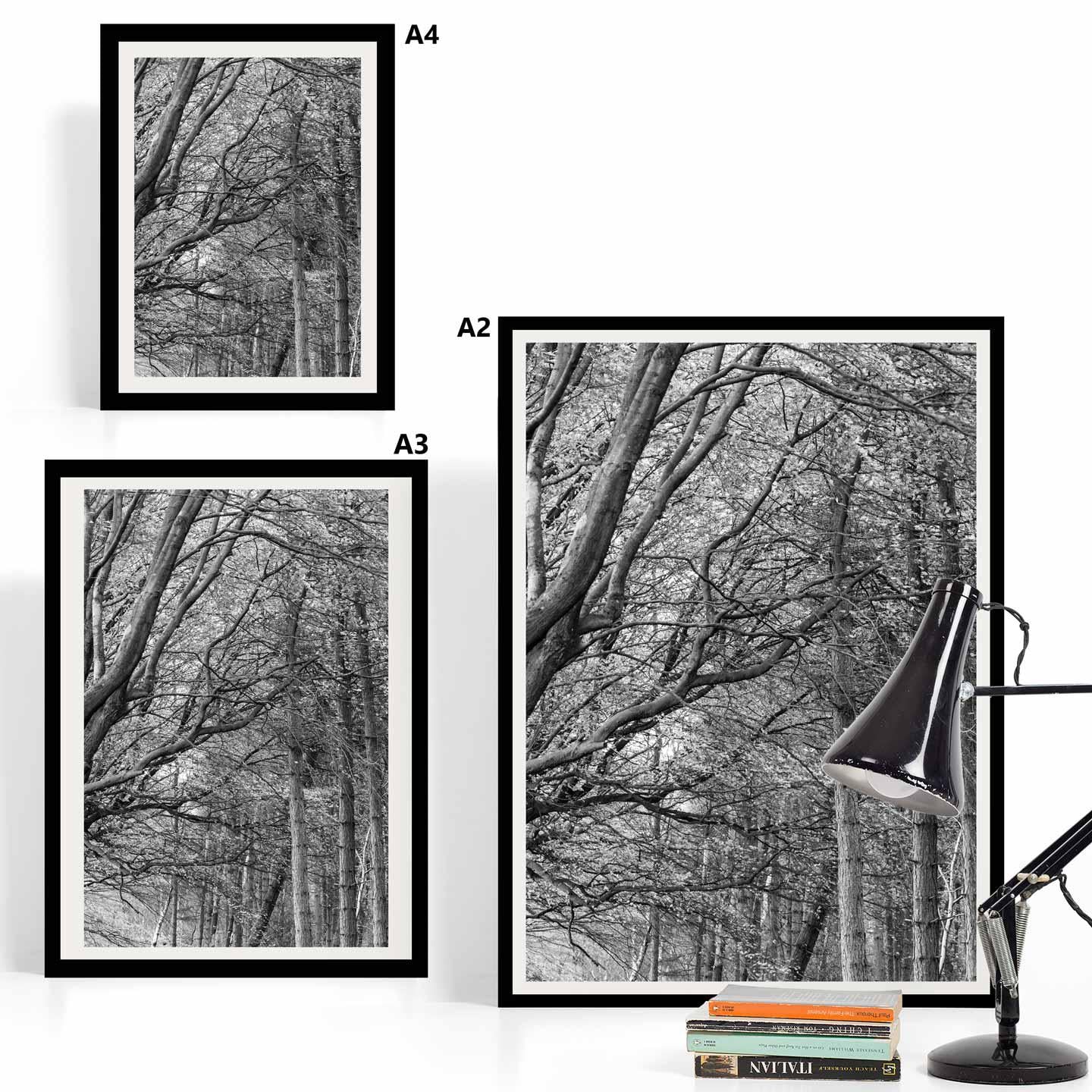 Peak District Countryside Landscape Fine Art Print in Black and White, A4, A3, A2