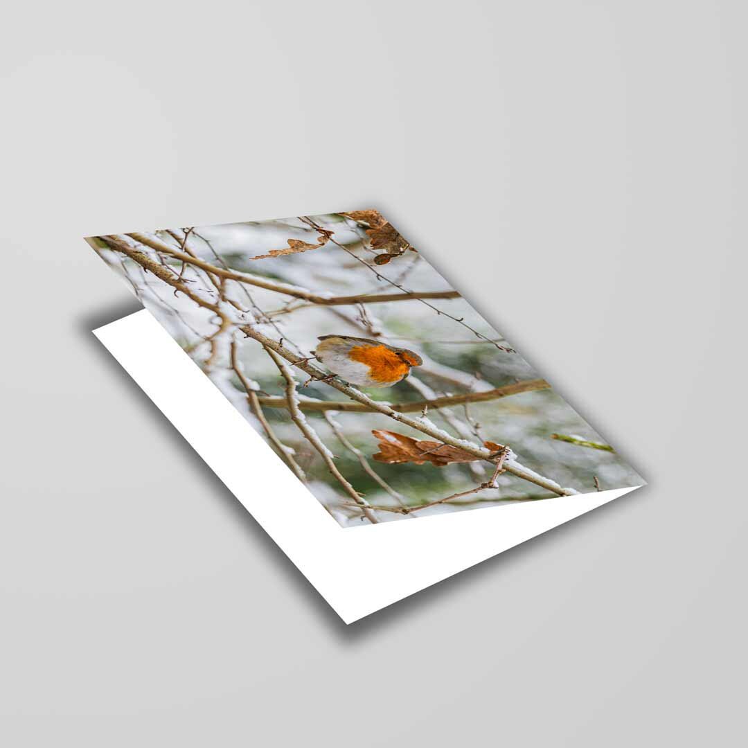 Robin Winter Themed Greetings Card A5 to fit A5 Picture Frame, Street Photography, Wall Art