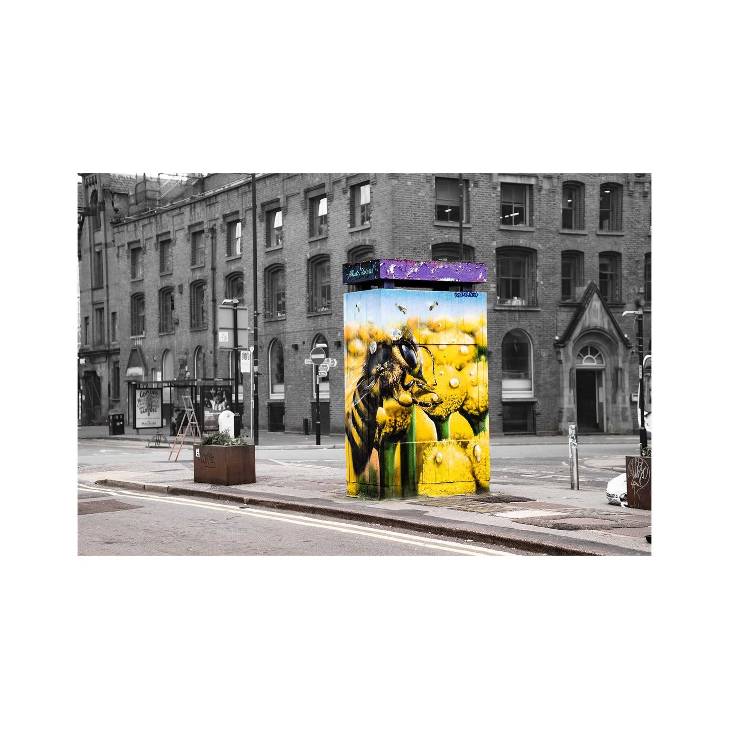 Bee Mural Manchester Graffiti Street Art Photography Digital Fine Art Print Photo A4, A3, A2