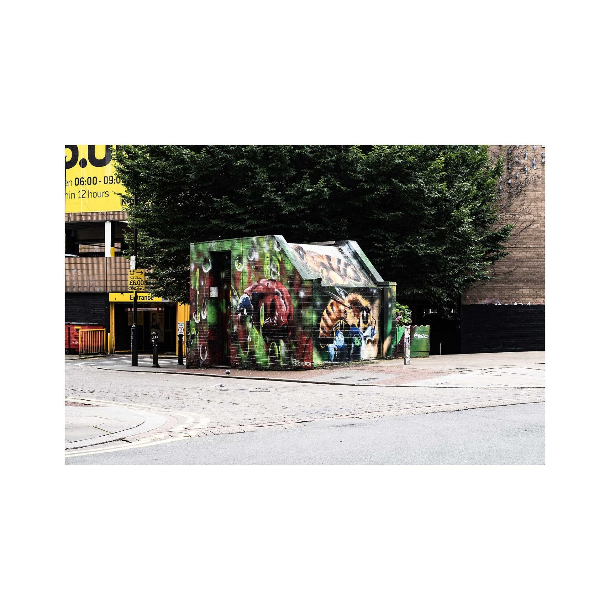 Nature Mural, Street Photography, Fine Art Photo, Wall Art, Graffiti Art, Manchester photo, Manchester print, City Print, UK City A4, A3, A2