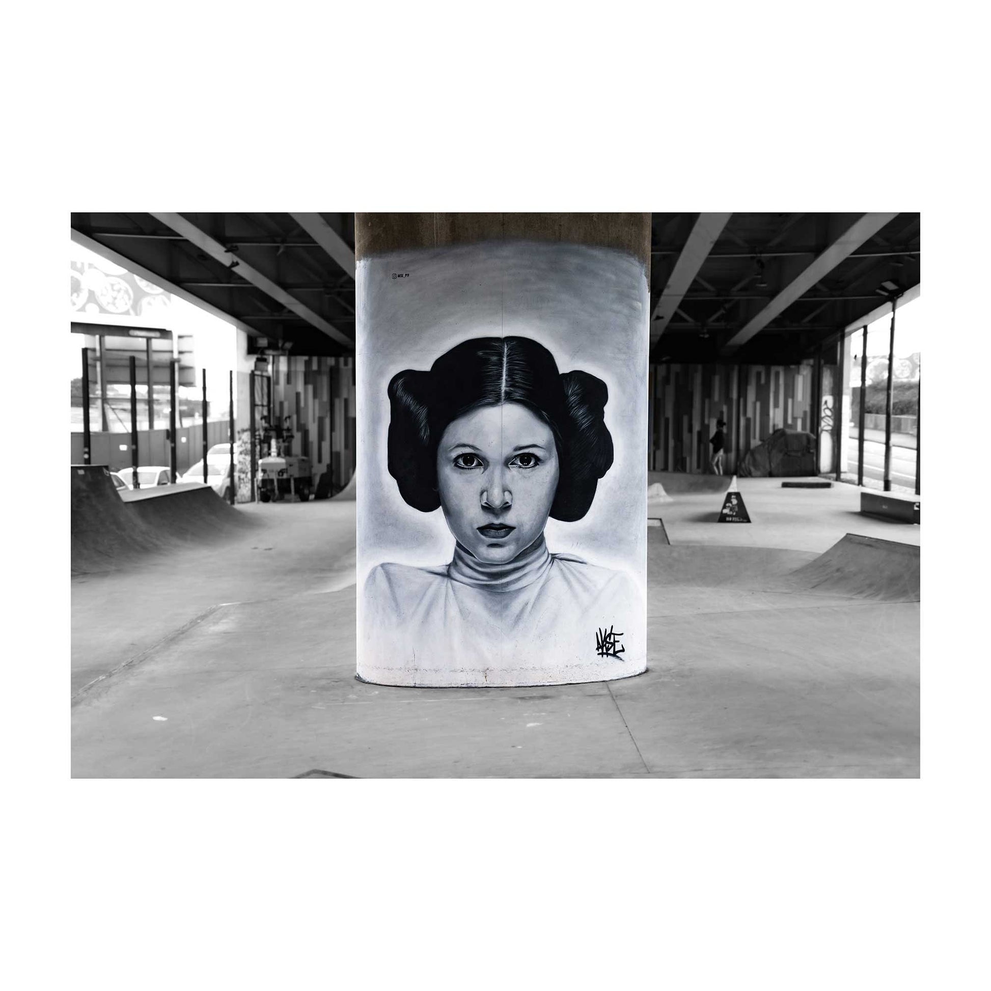 Star Wars Princess Leia Graffiti Street Art Fine Art Digital Photography Print Photo Wall Art A4, A3, A2