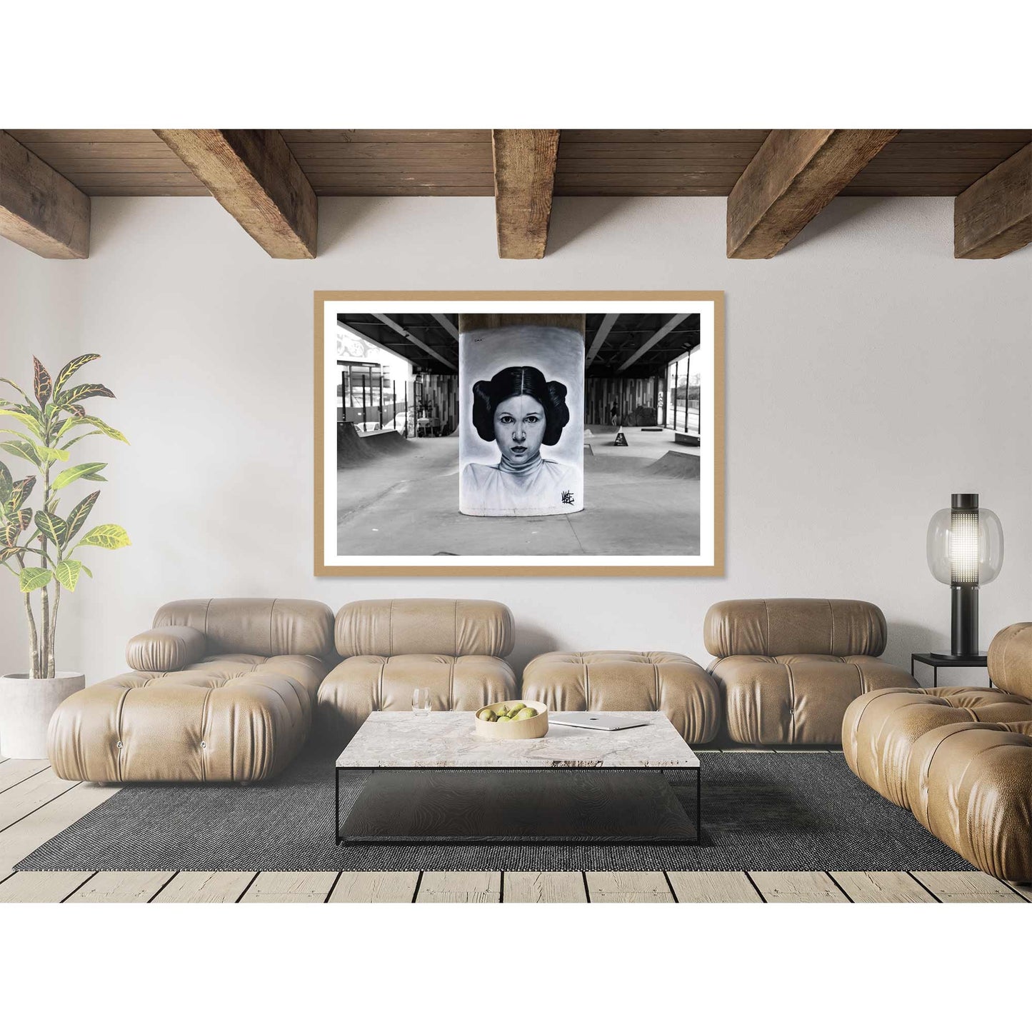 Star Wars Princess Leia Graffiti Street Art Fine Art Digital Photography Print Photo Wall Art A4, A3, A2