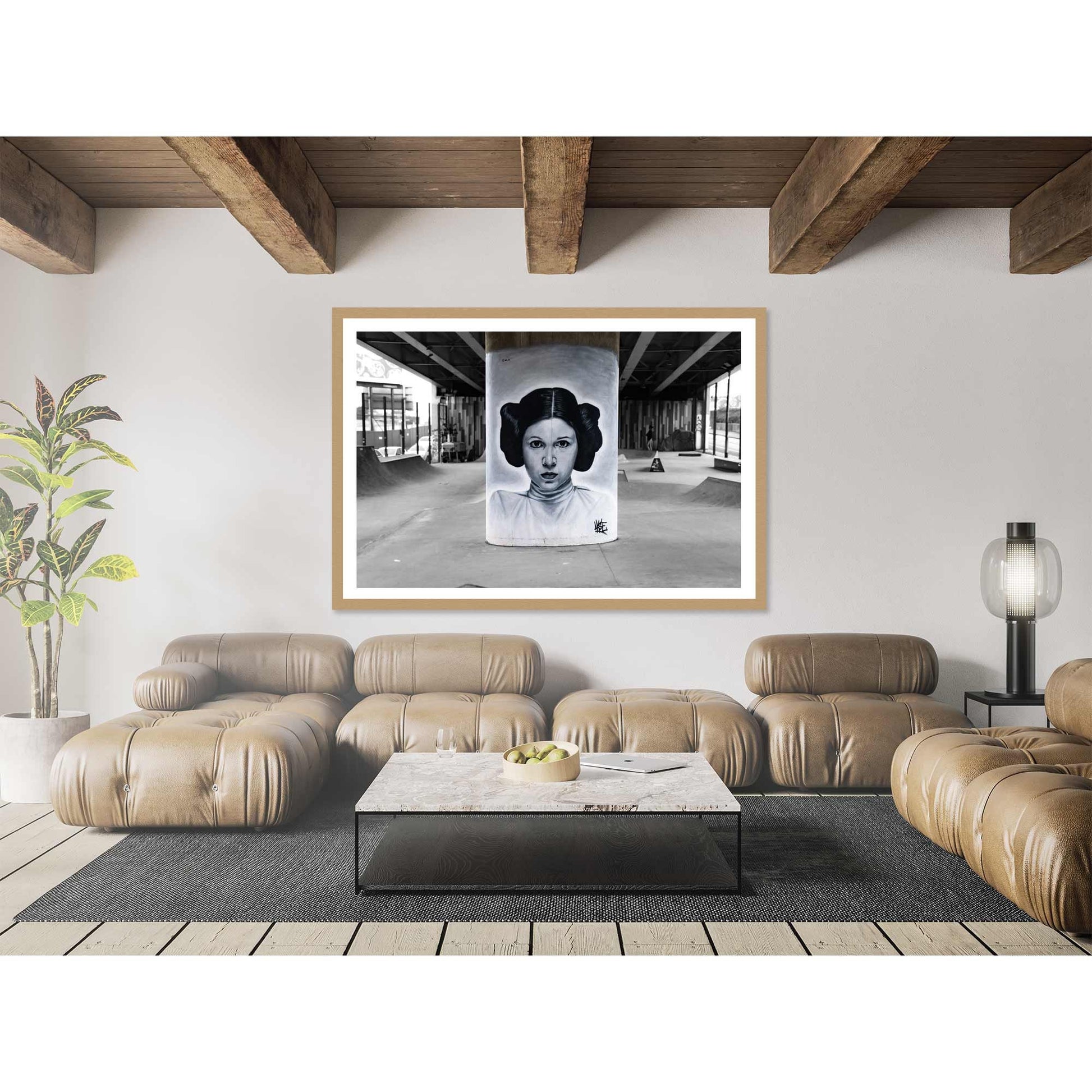 Star Wars Princess Leia Graffiti Street Art Fine Art Digital Photography Print Photo Wall Art A4, A3, A2