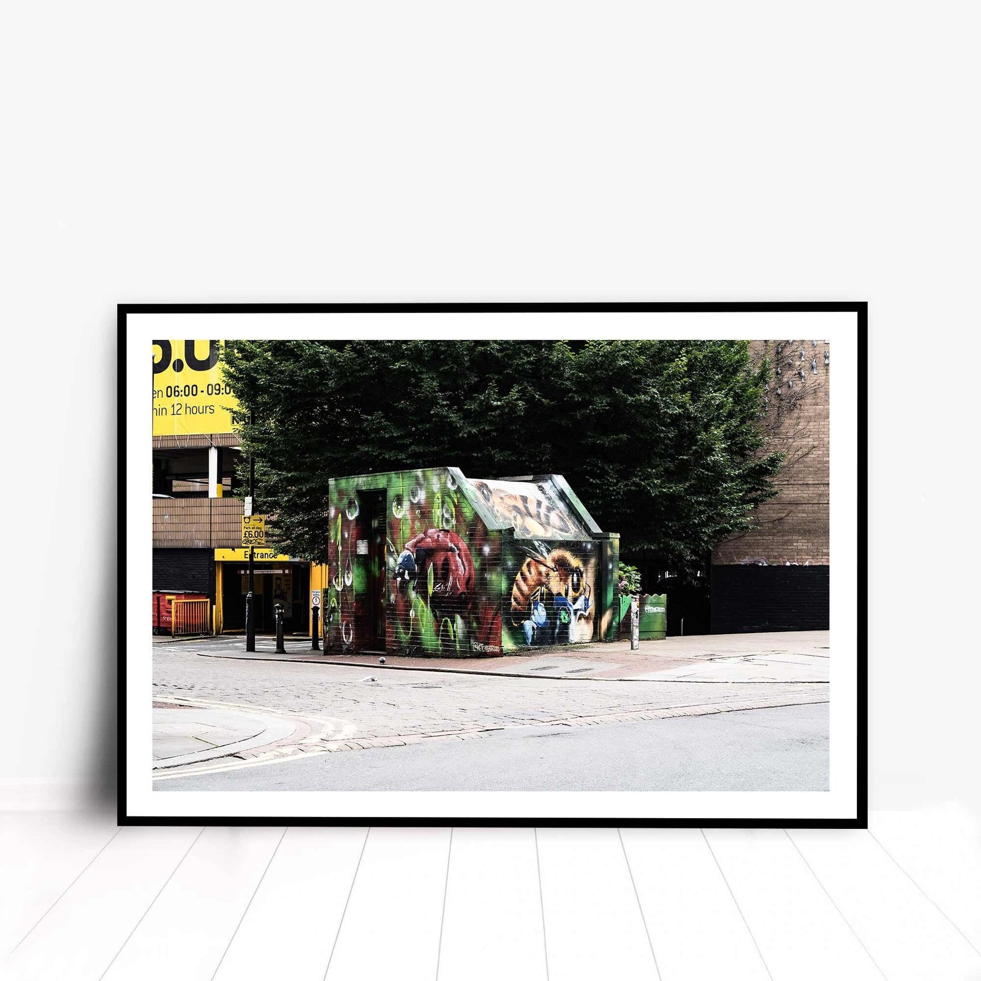 Nature Mural, Street Photography, Fine Art Photo, Wall Art, Graffiti Art, Manchester photo, Manchester print, City Print, UK City A4, A3, A2