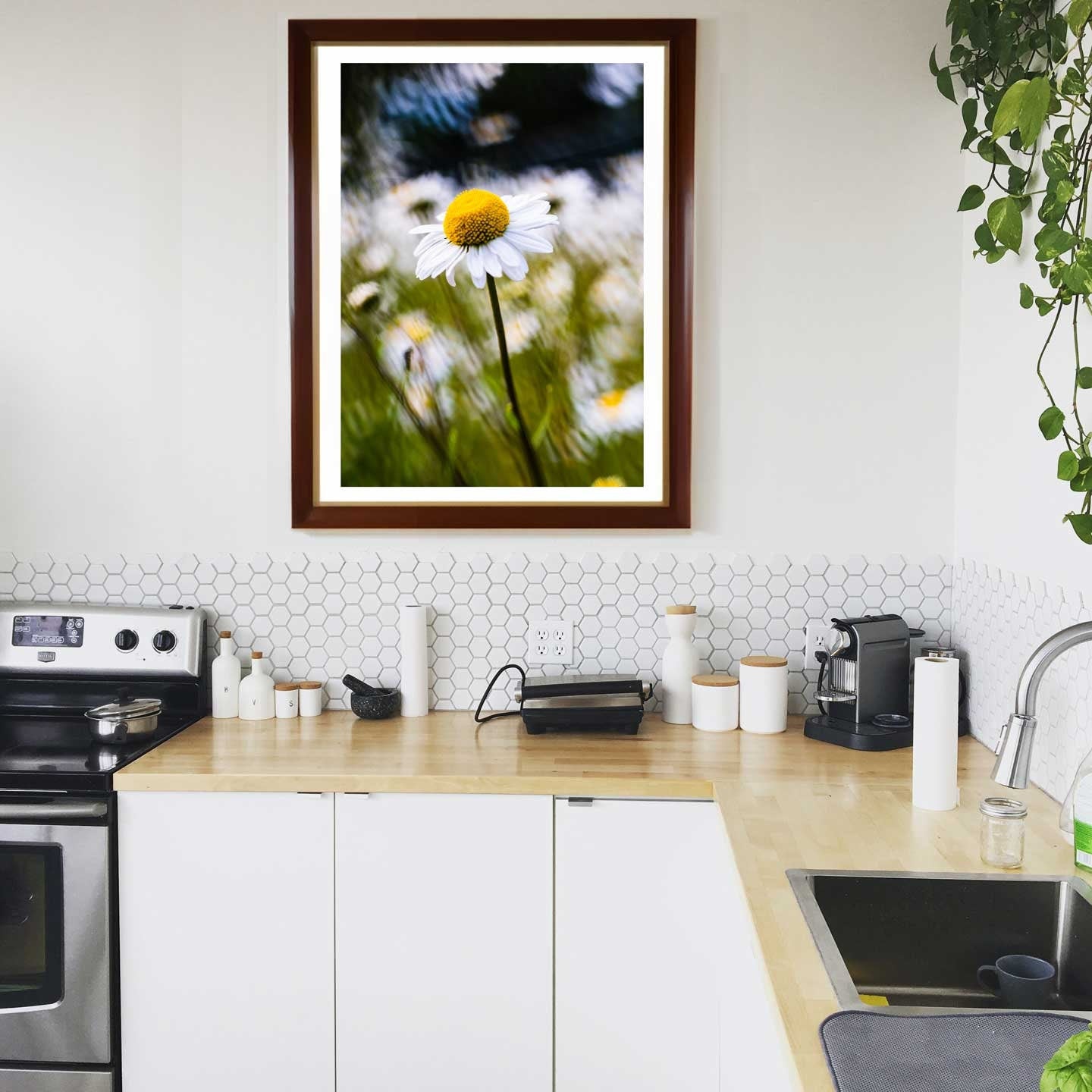 Yellow daisy flower fine art, Floral Printable Poster, Modern Wall Art, Flowers Print A4, A3, A2