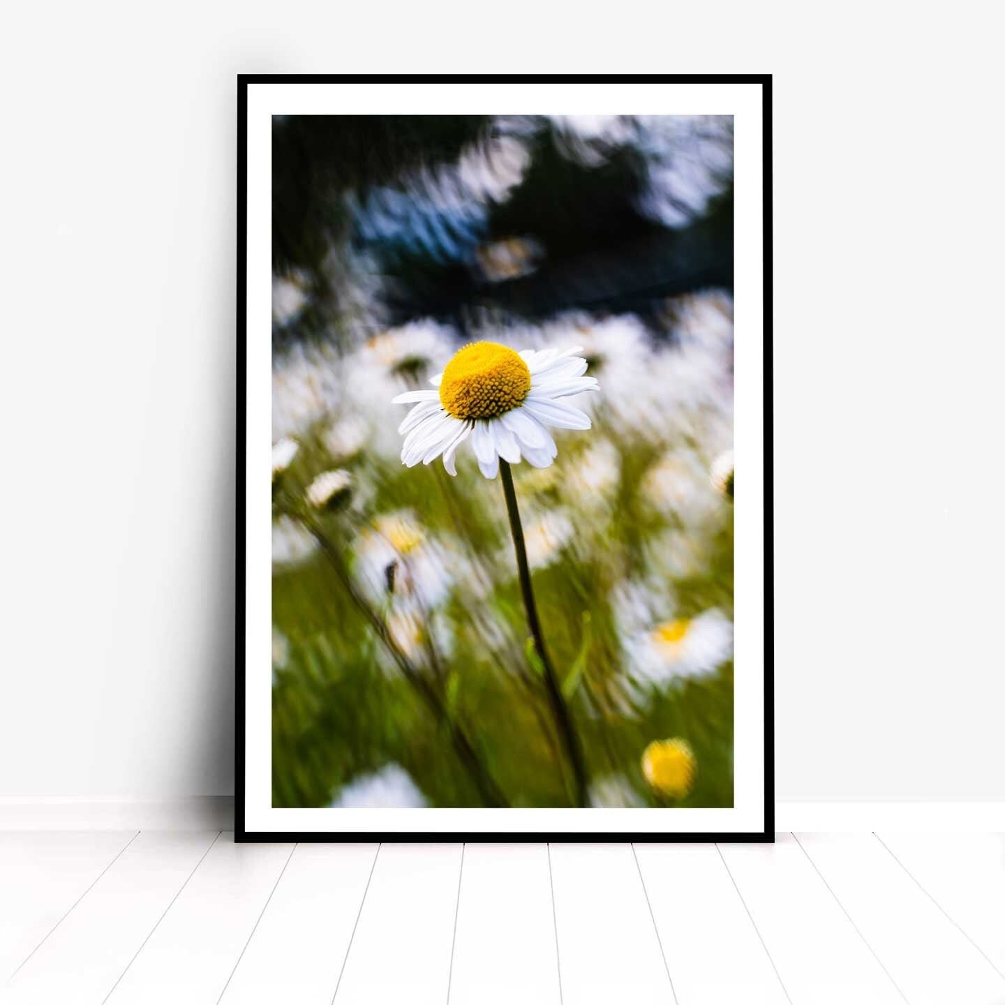 Yellow daisy flower fine art, Floral Printable Poster, Modern Wall Art, Flowers Print A4, A3, A2