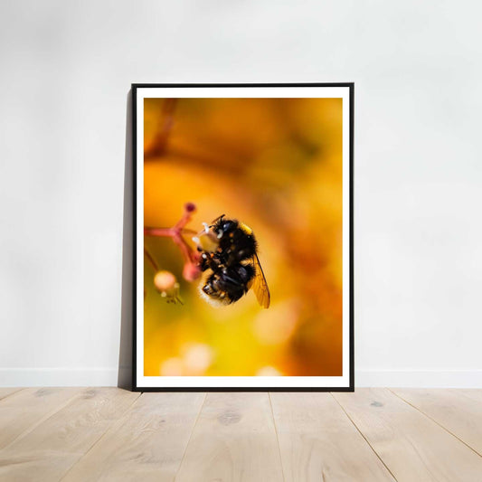 Bumblebee Art Print, Yellow Wildflowers Print, Bright Floral Photography, Bee Art, Macro Nature Photography
