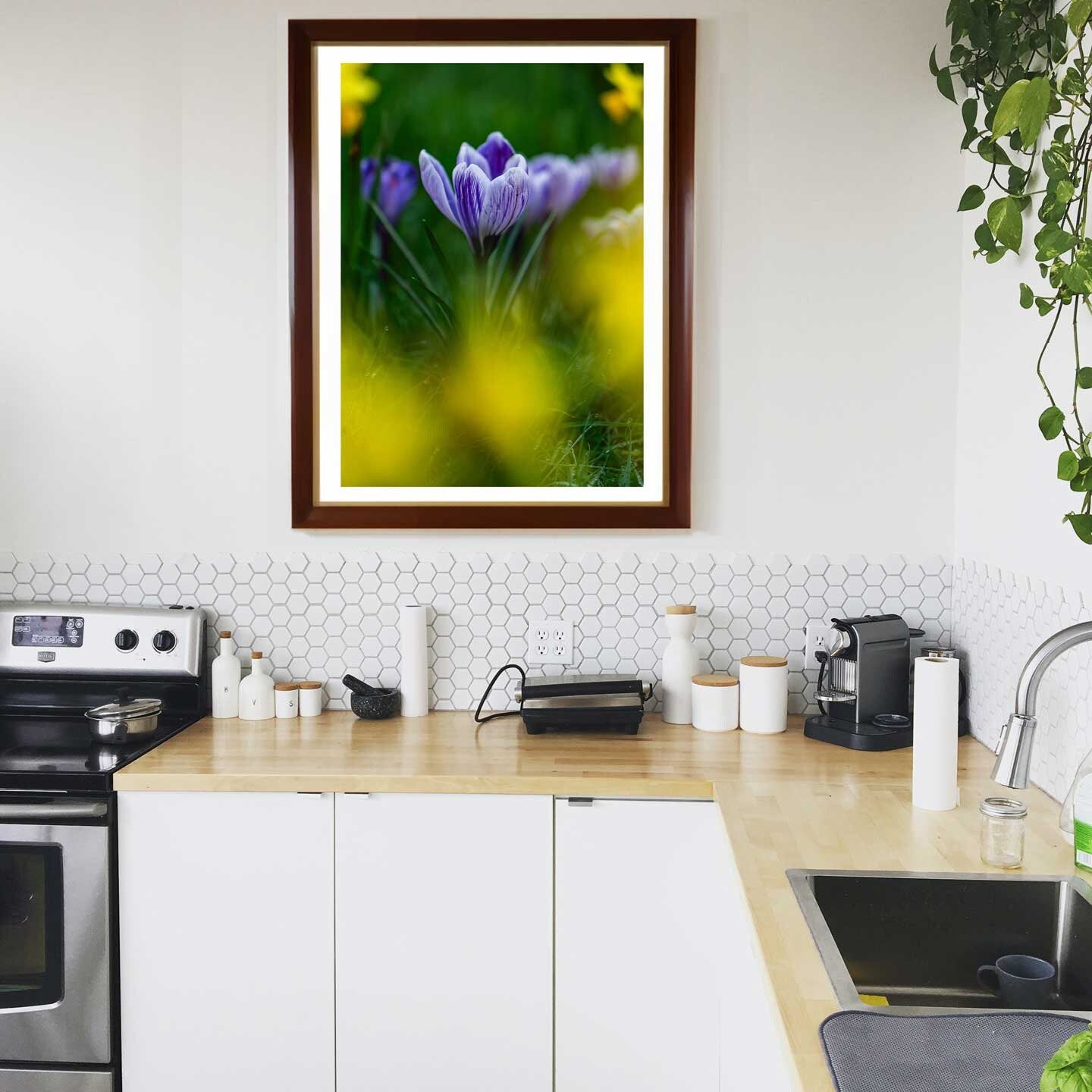 Crocus flower, Spring Crocus gift, Crocus botanical wall art, Gift for Mum, Gifts for her