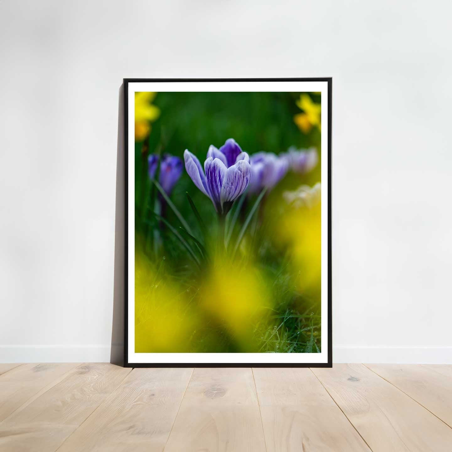 Crocus flower, Spring Crocus gift, Crocus botanical wall art, Gift for Mum, Gifts for her
