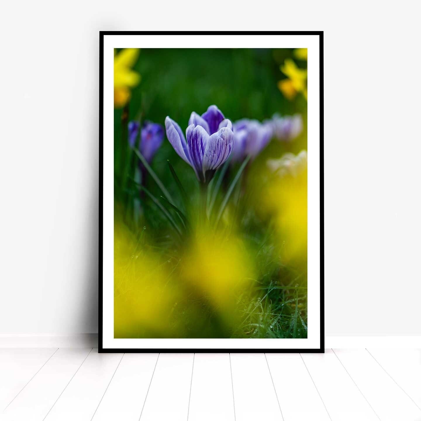 Crocus flower, Spring Crocus gift, Crocus botanical wall art, Gift for Mum, Gifts for her