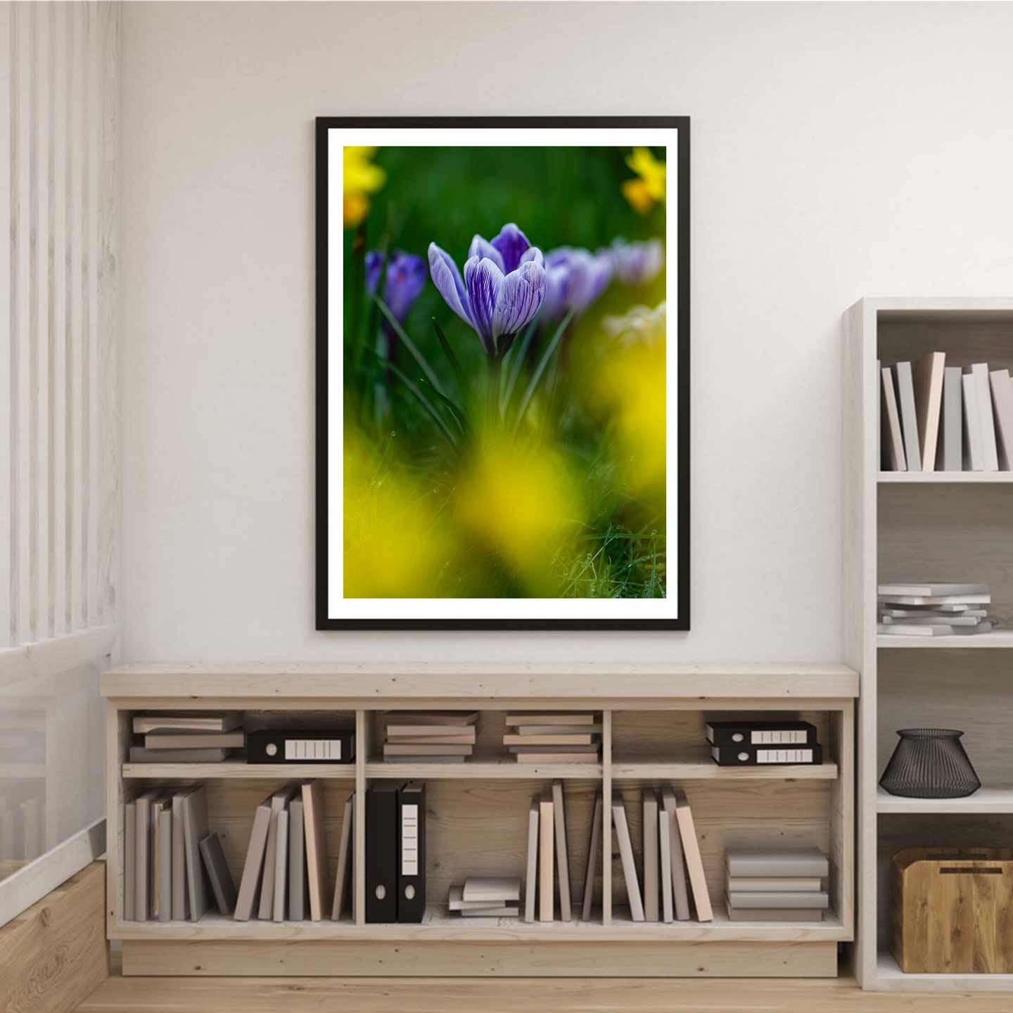 Crocus flower, Spring Crocus gift, Crocus botanical wall art, Gift for Mum, Gifts for her