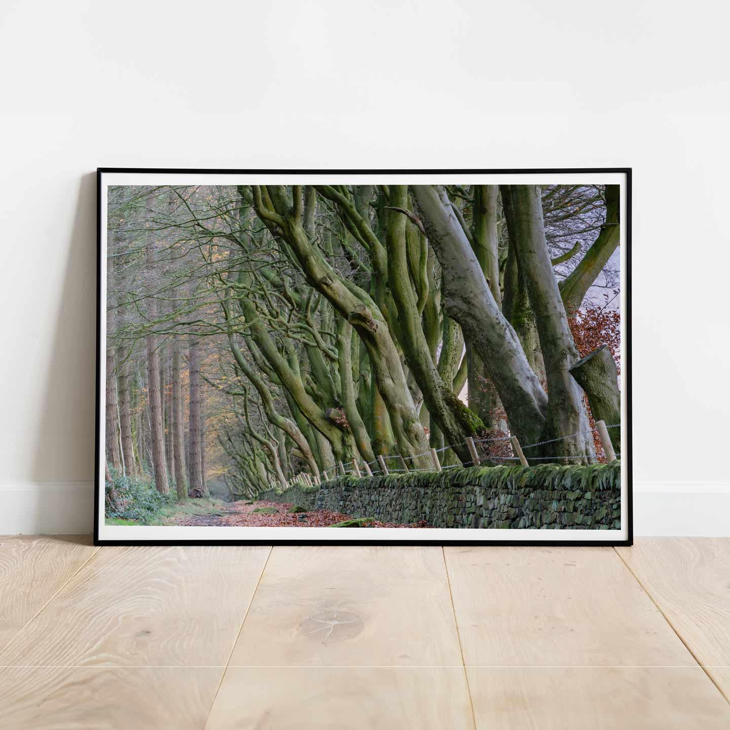 Peak District Countryside Landscape Fine Art Print, A4, A3, A2