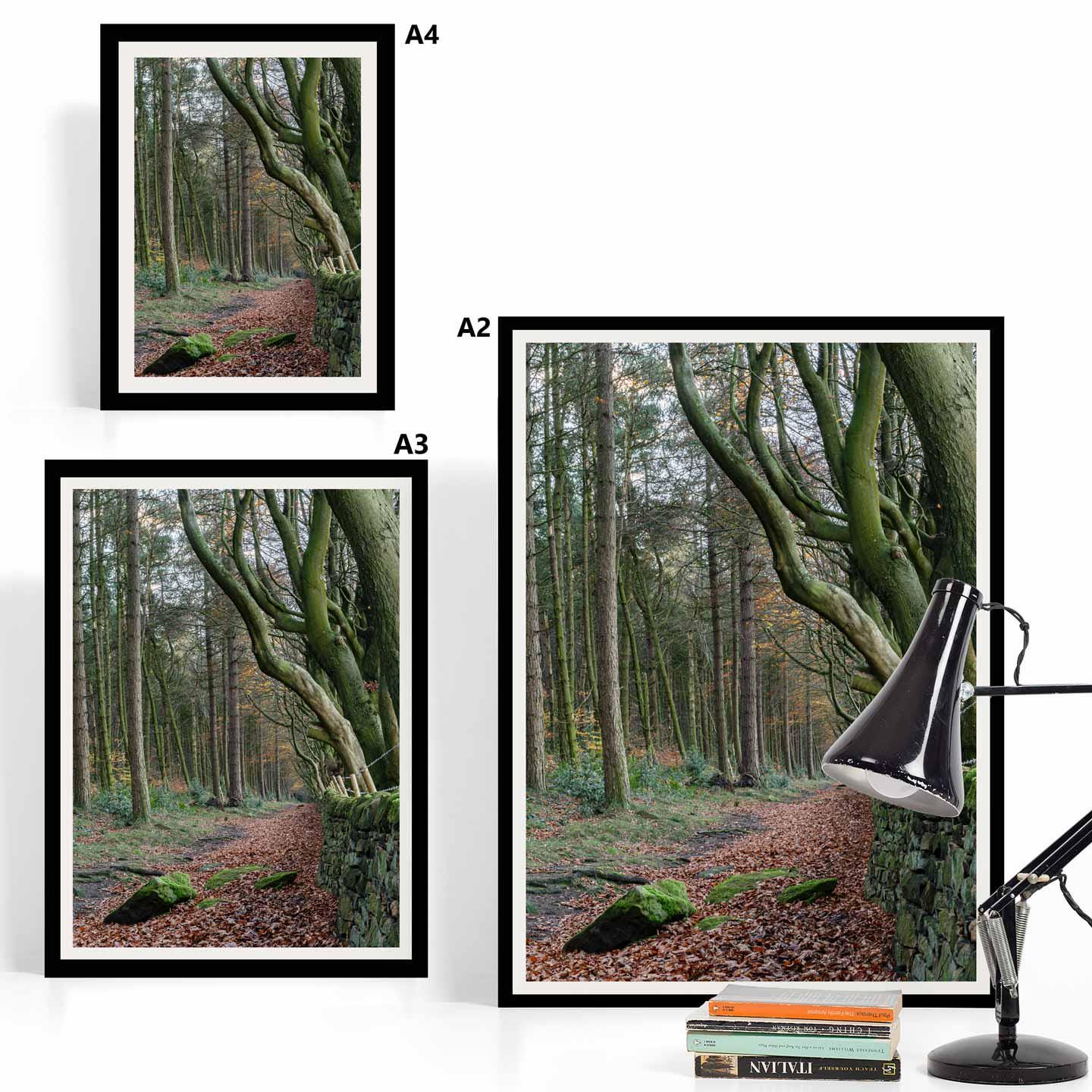 Peak District Countryside Landscape Fine Art Print, A4, A3, A2