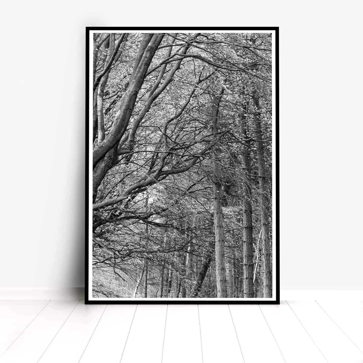 Peak District Countryside Landscape Fine Art Print in Black and White, A4, A3, A2