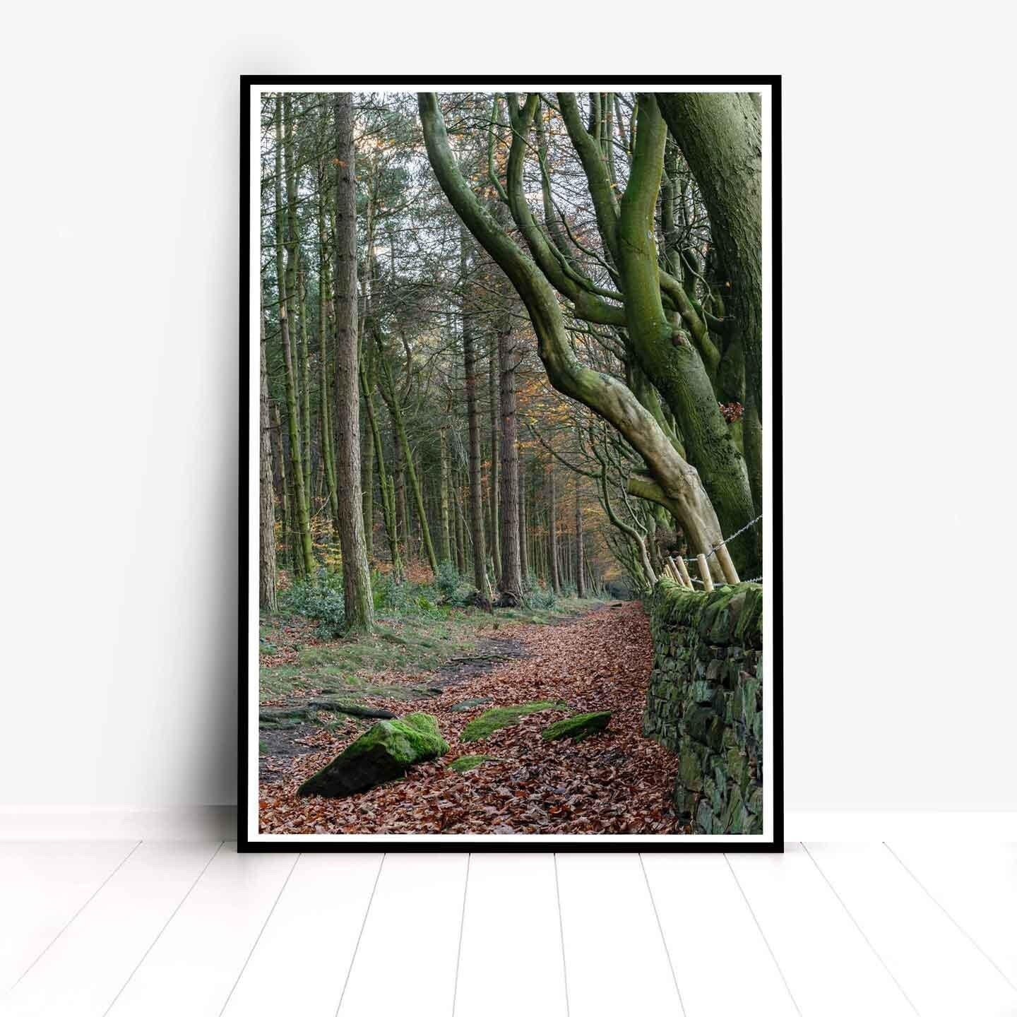 Peak District Countryside Landscape Fine Art Print, A4, A3, A2