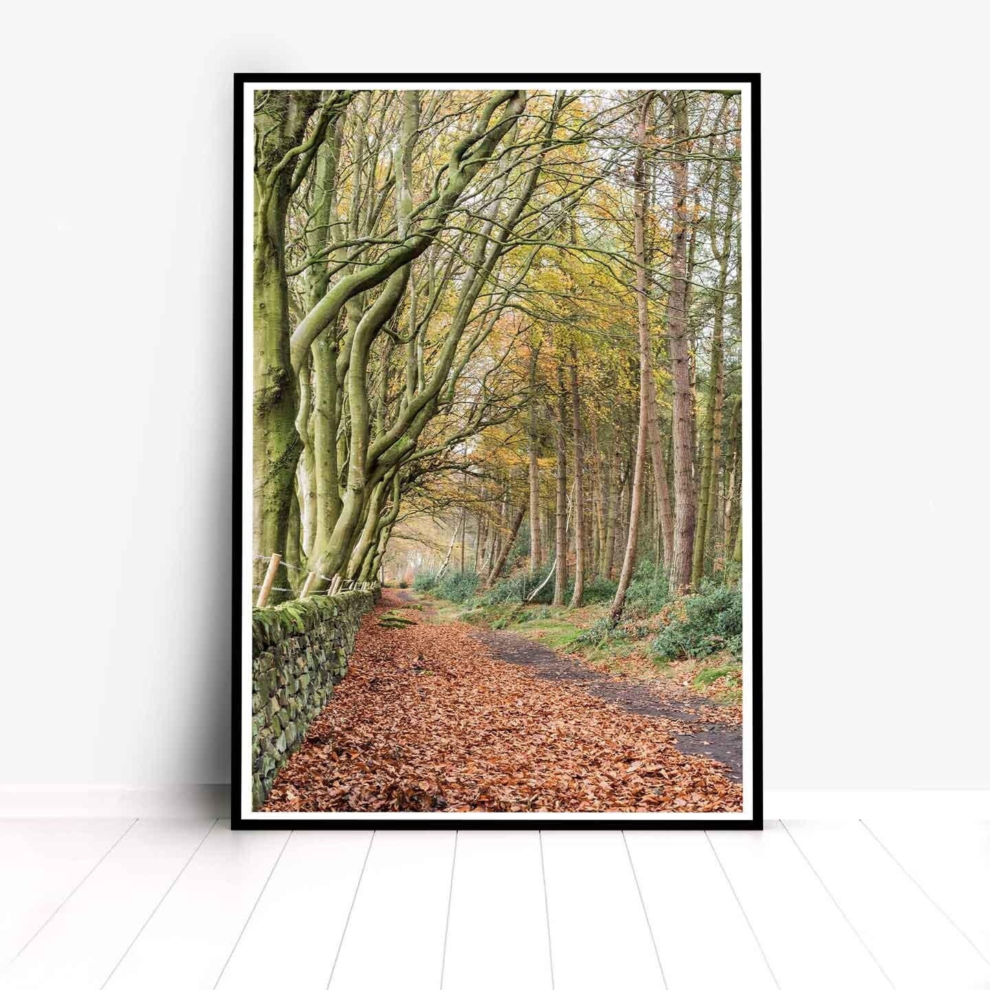 Peak District Countryside Landscape Fine Art Print, A4, A3, A2