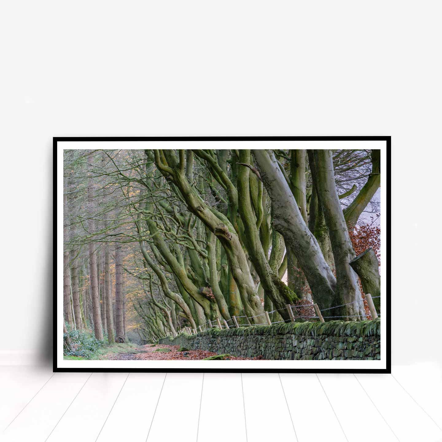 Peak District Countryside Landscape Fine Art Print, A4, A3, A2
