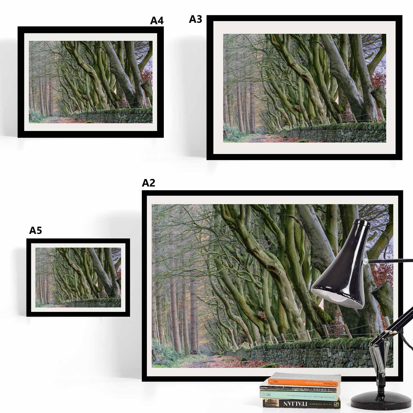 Peak District Countryside Landscape Fine Art Print, A4, A3, A2