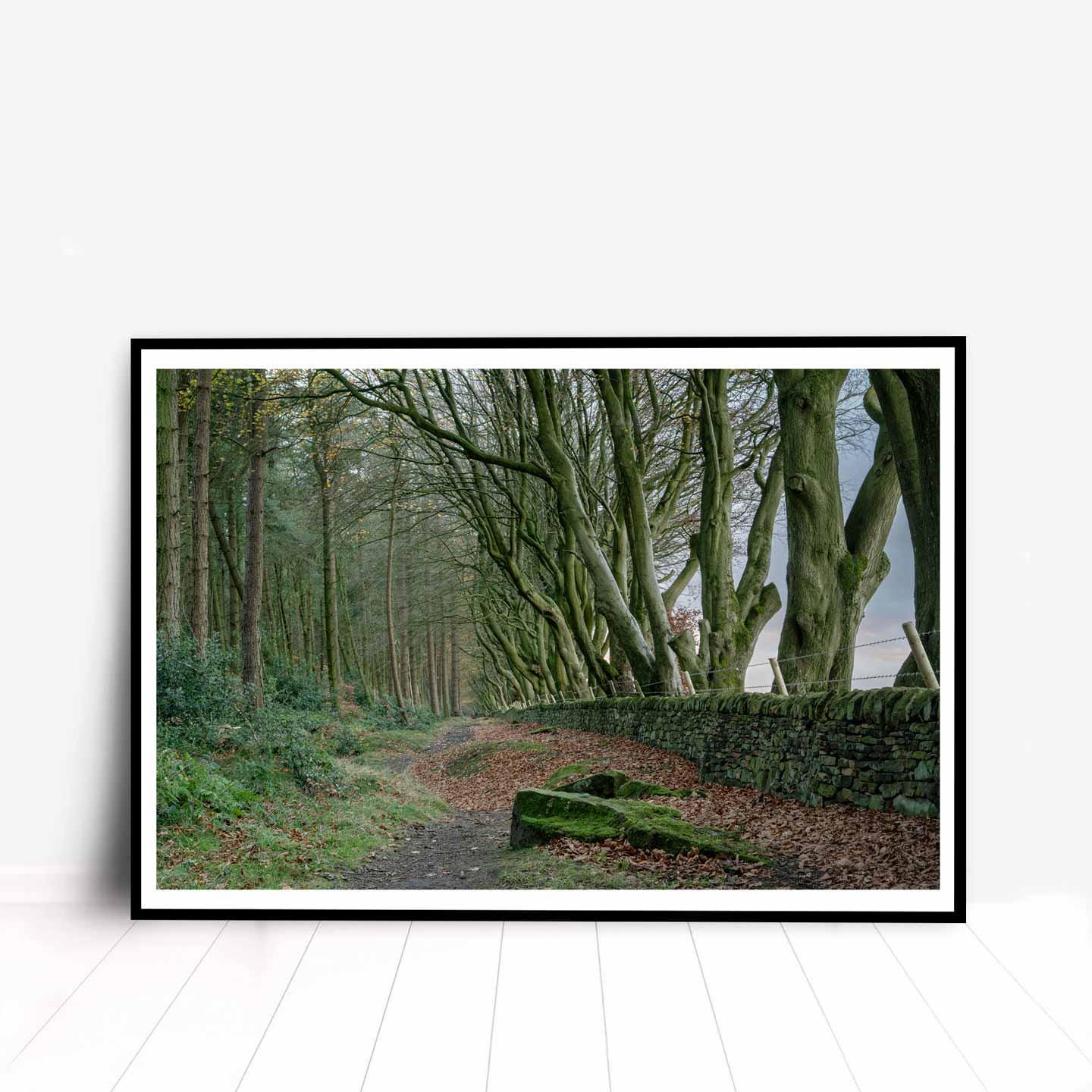 Peak District Countryside Landscape Fine Art Print, A4, A3, A2
