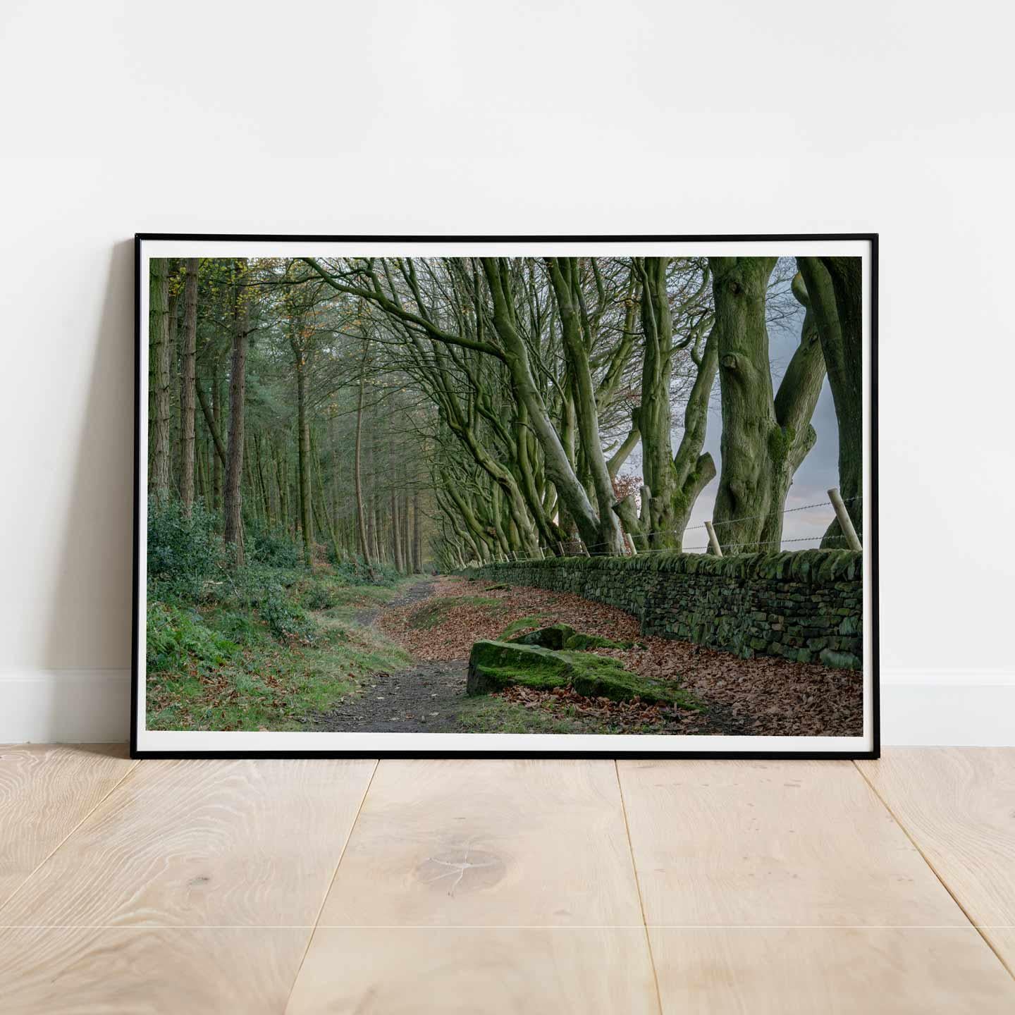 Peak District Countryside Landscape Fine Art Print, A4, A3, A2