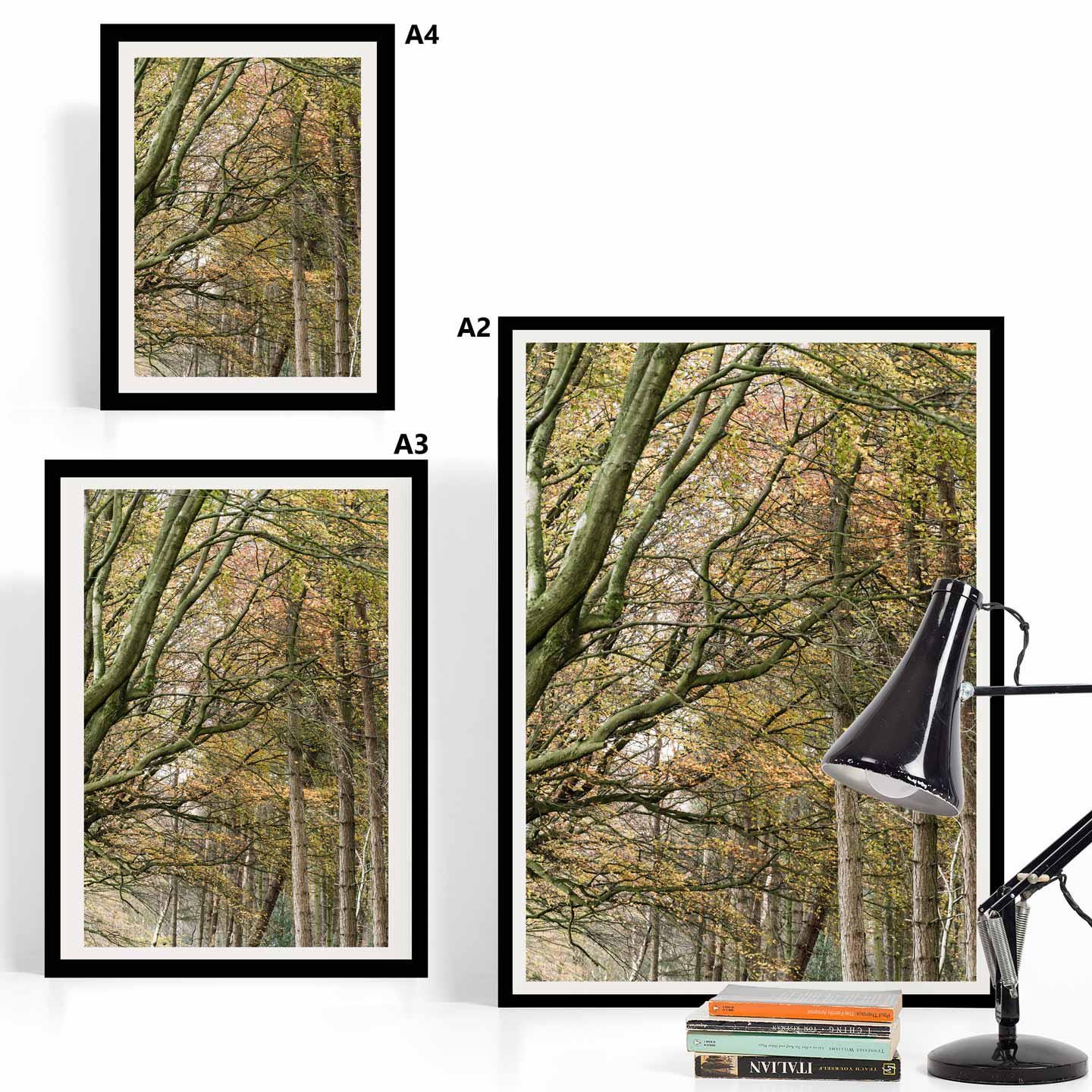 Peak District Countryside Landscape Fine Art Print, A4, A3, A2