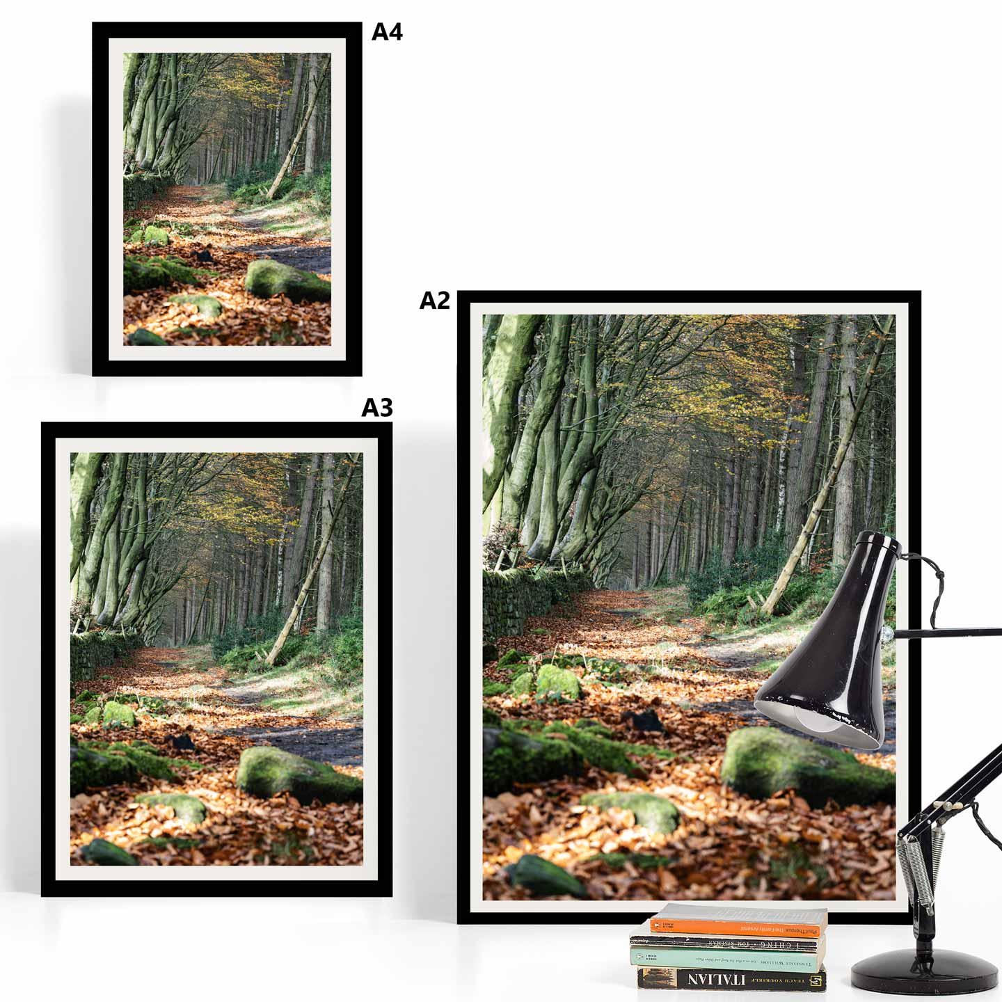 Peak District Countryside Landscape Fine Art Print, A4, A3, A2