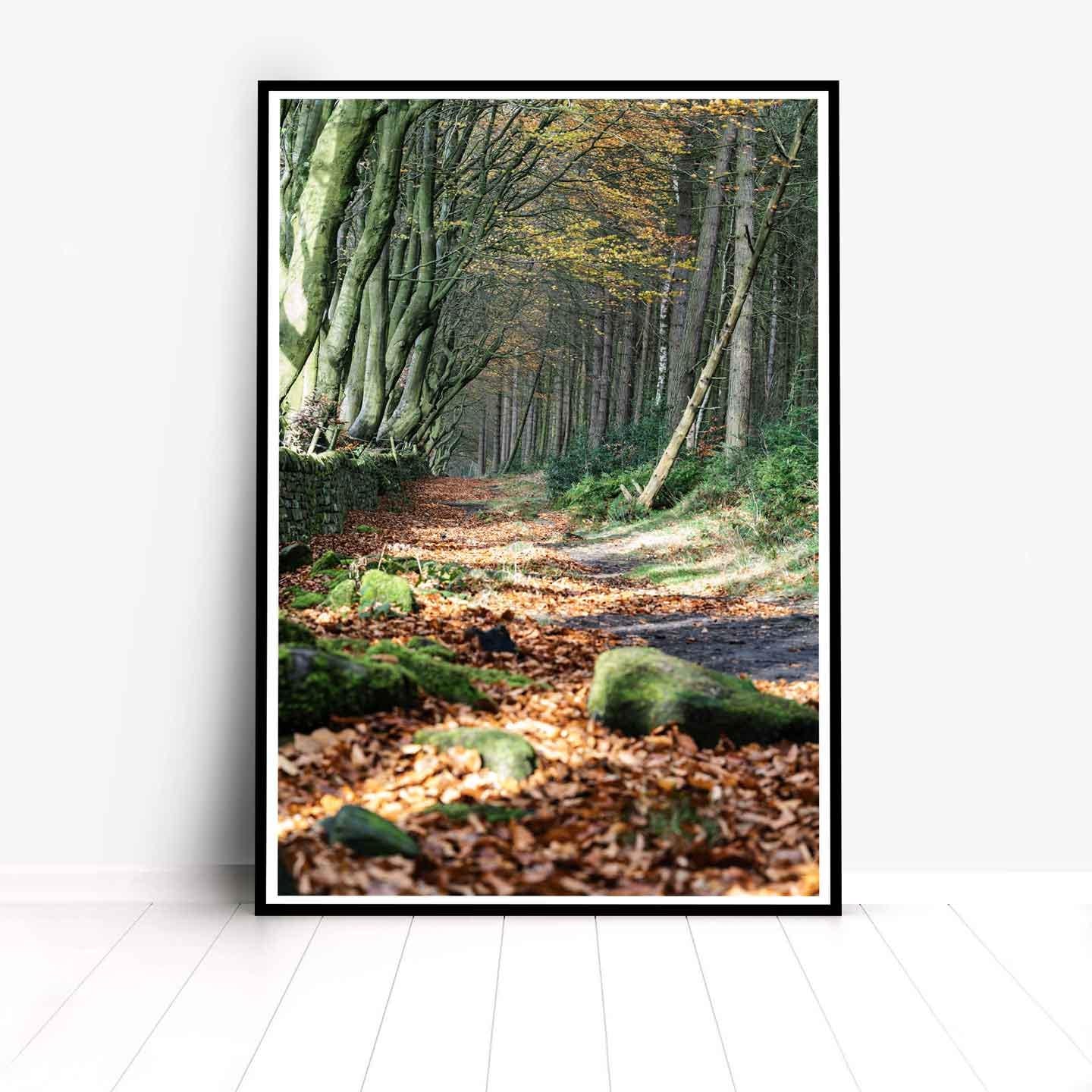 Peak District Countryside Landscape Fine Art Print, A4, A3, A2