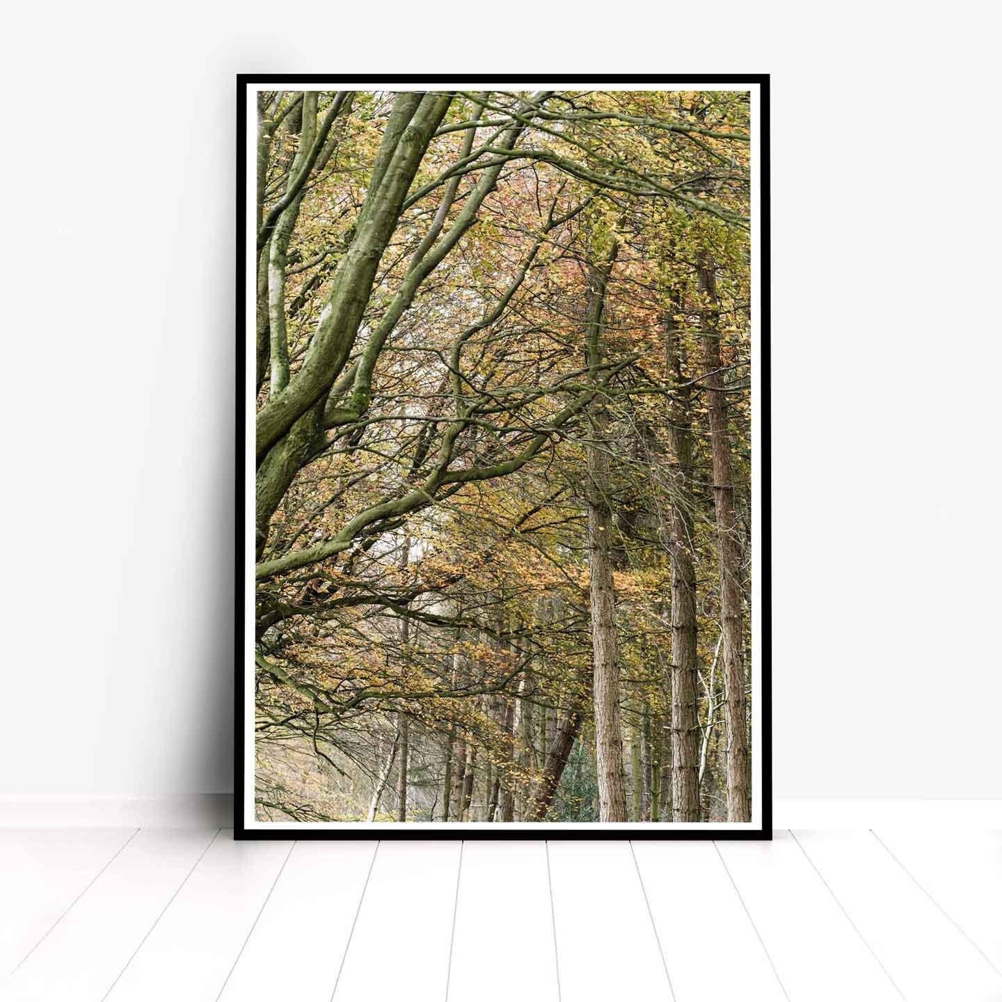 Peak District Countryside Landscape Fine Art Print, A4, A3, A2
