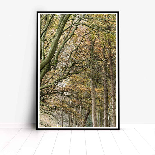 Peak District Countryside Landscape Fine Art Print, A4, A3, A2