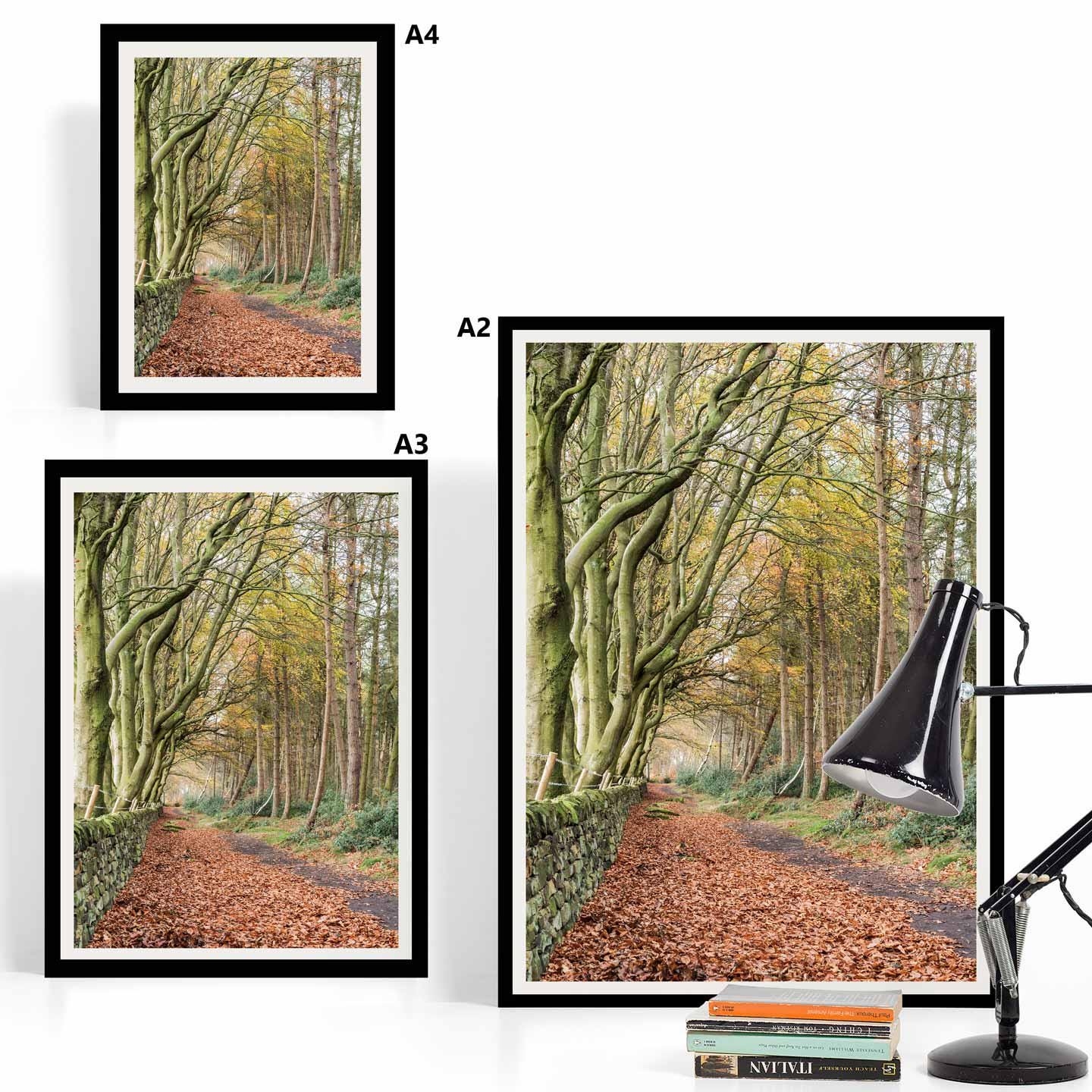 Peak District Countryside Landscape Fine Art Print, A4, A3, A2