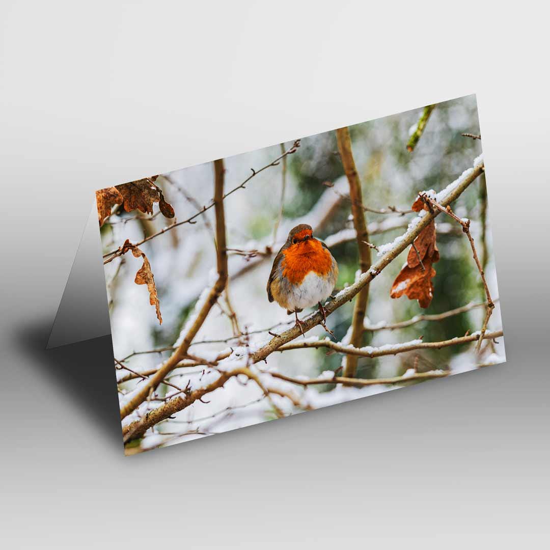 Robin Winter Themed Greetings Card A5 to fit A5 Picture Frame, Street Photography, Wall Art