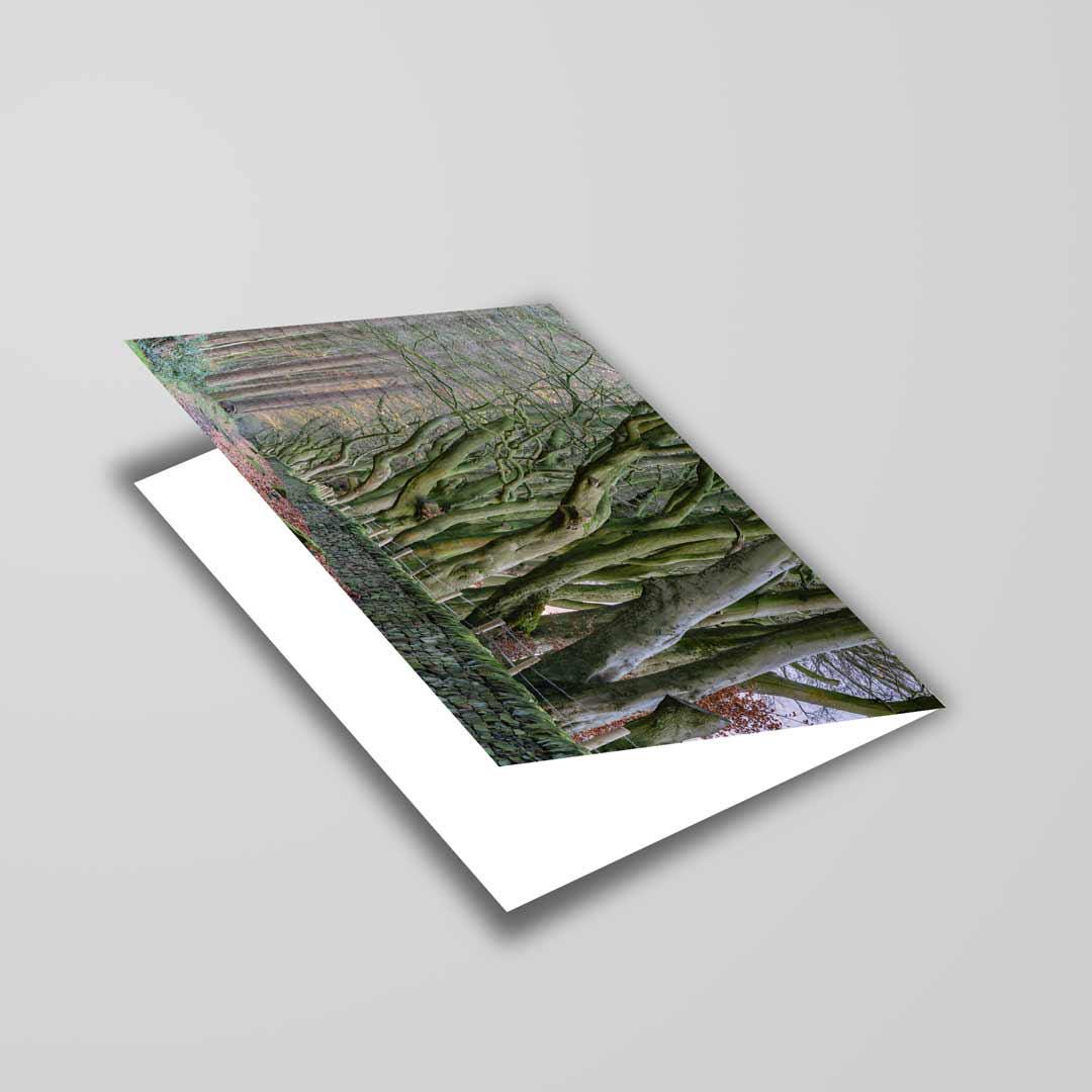 Landscape-inspired Greetings Card A5 to fit A5 Picture Frame, Street Photography, Wall Art, Mattlock, Upper Moor Peak District