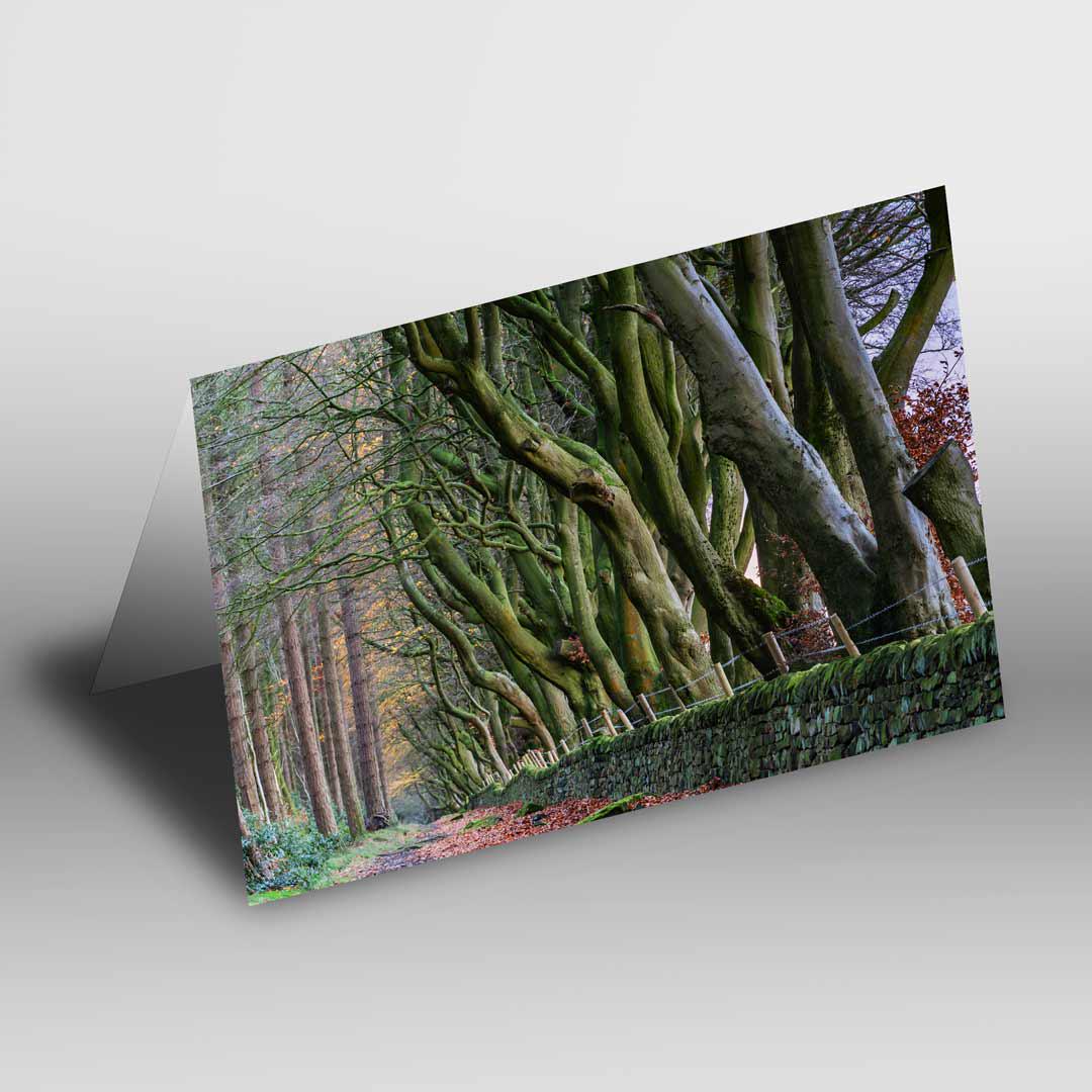 Landscape-inspired Greetings Card A5 to fit A5 Picture Frame, Street Photography, Wall Art, Mattlock, Upper Moor Peak District