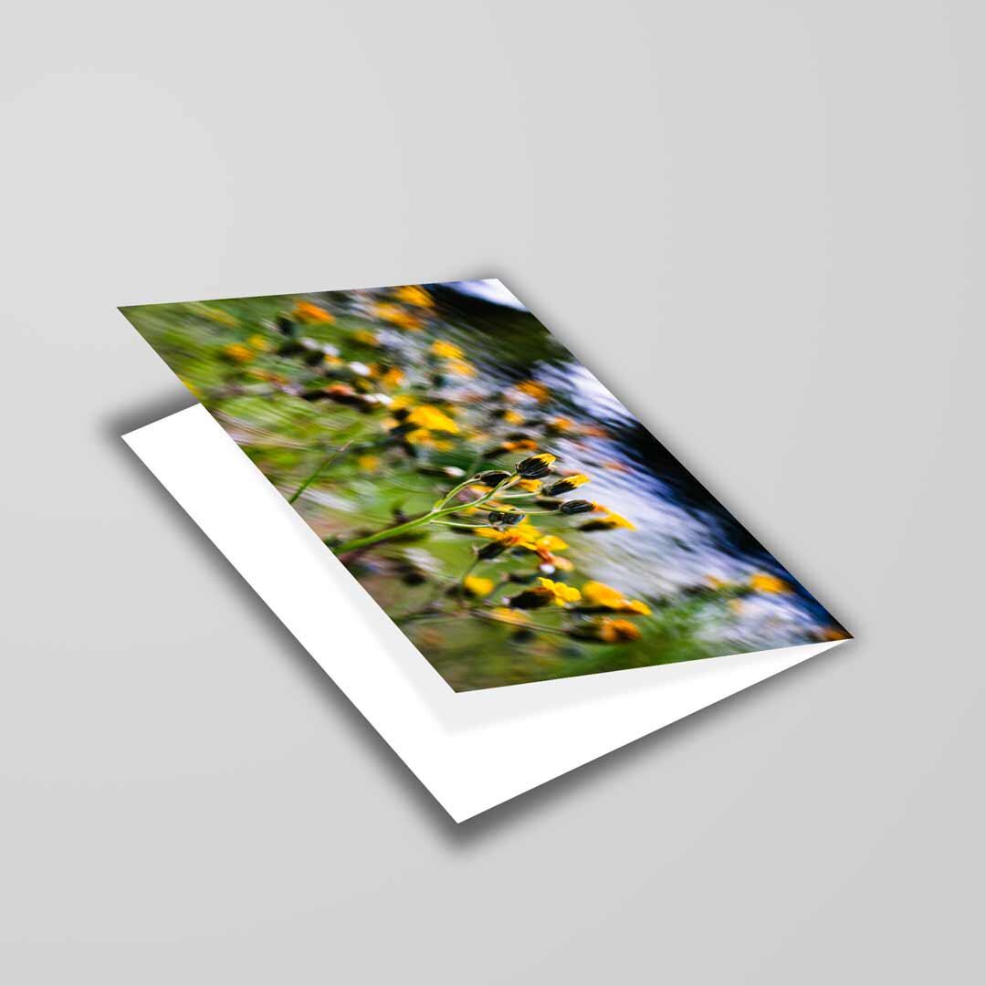 Nature-inspired Greetings Card A5 to fit A5 Picture Frame, Street Photography, Wall Art