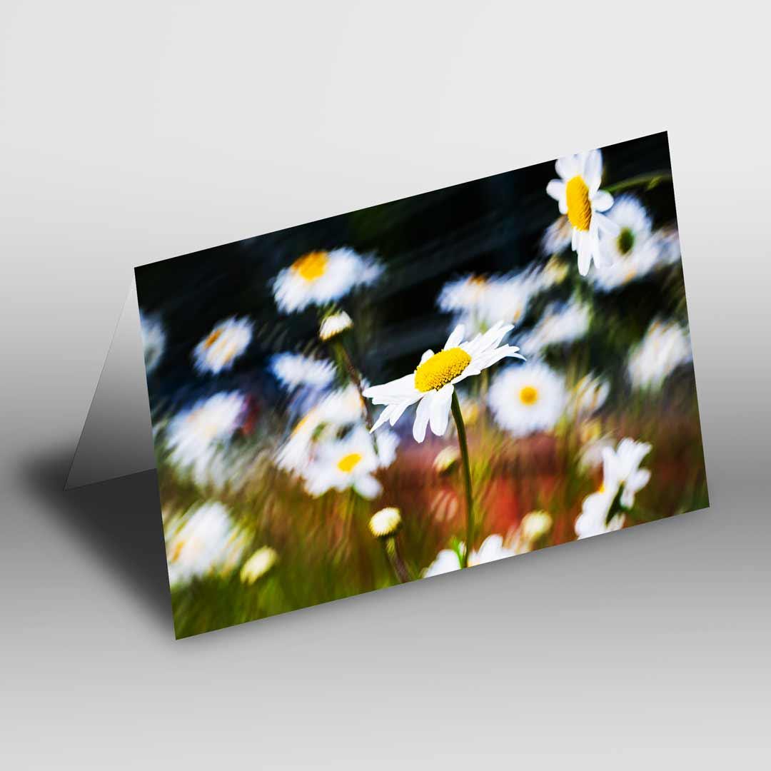 Nature-inspired Greetings Card A5 to fit A5 Picture Frame, Street Photography, Wall Art
