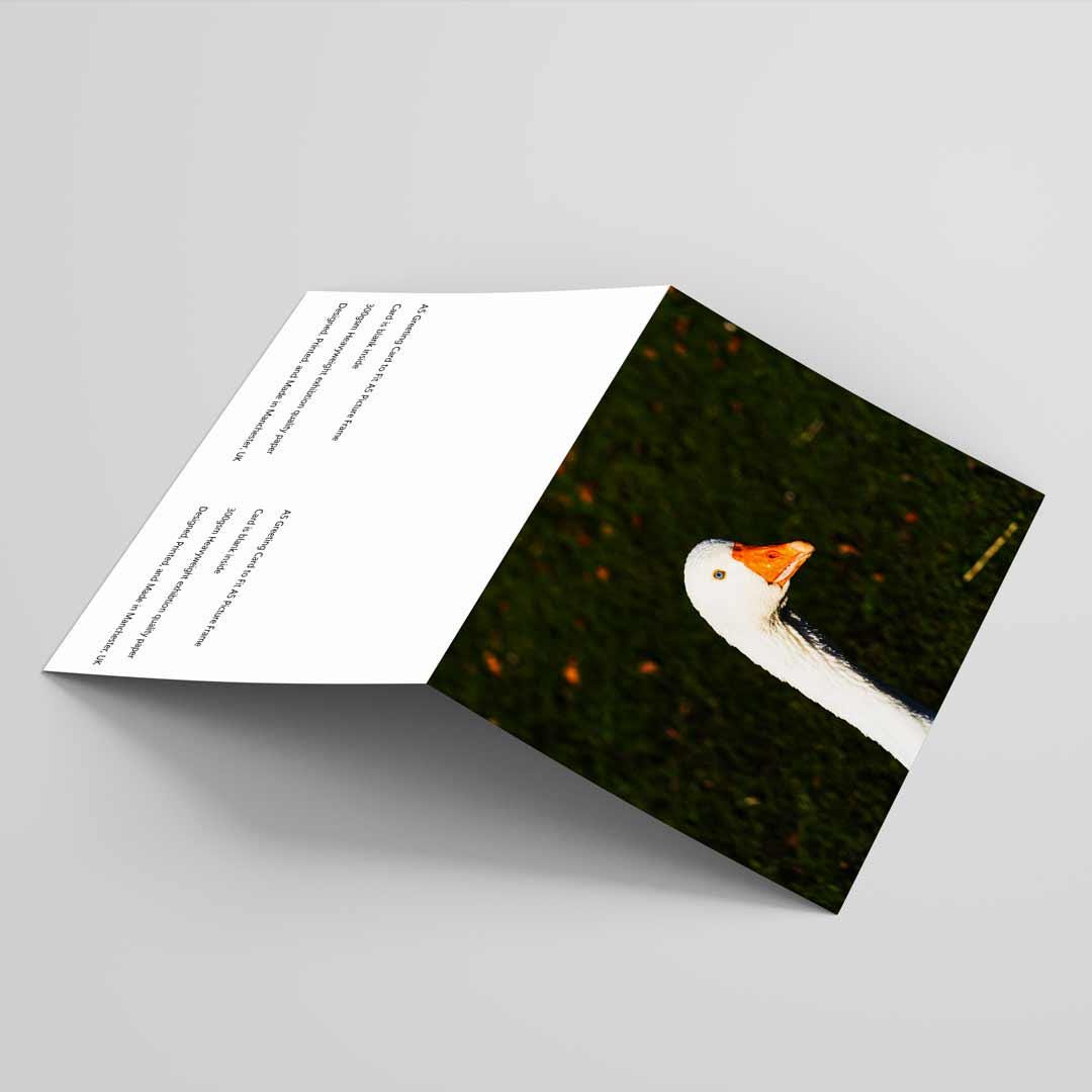 Wildlife-Inspired Greetings Card A5 to fit A5 Picture Frame, Street Photography, Wall Art