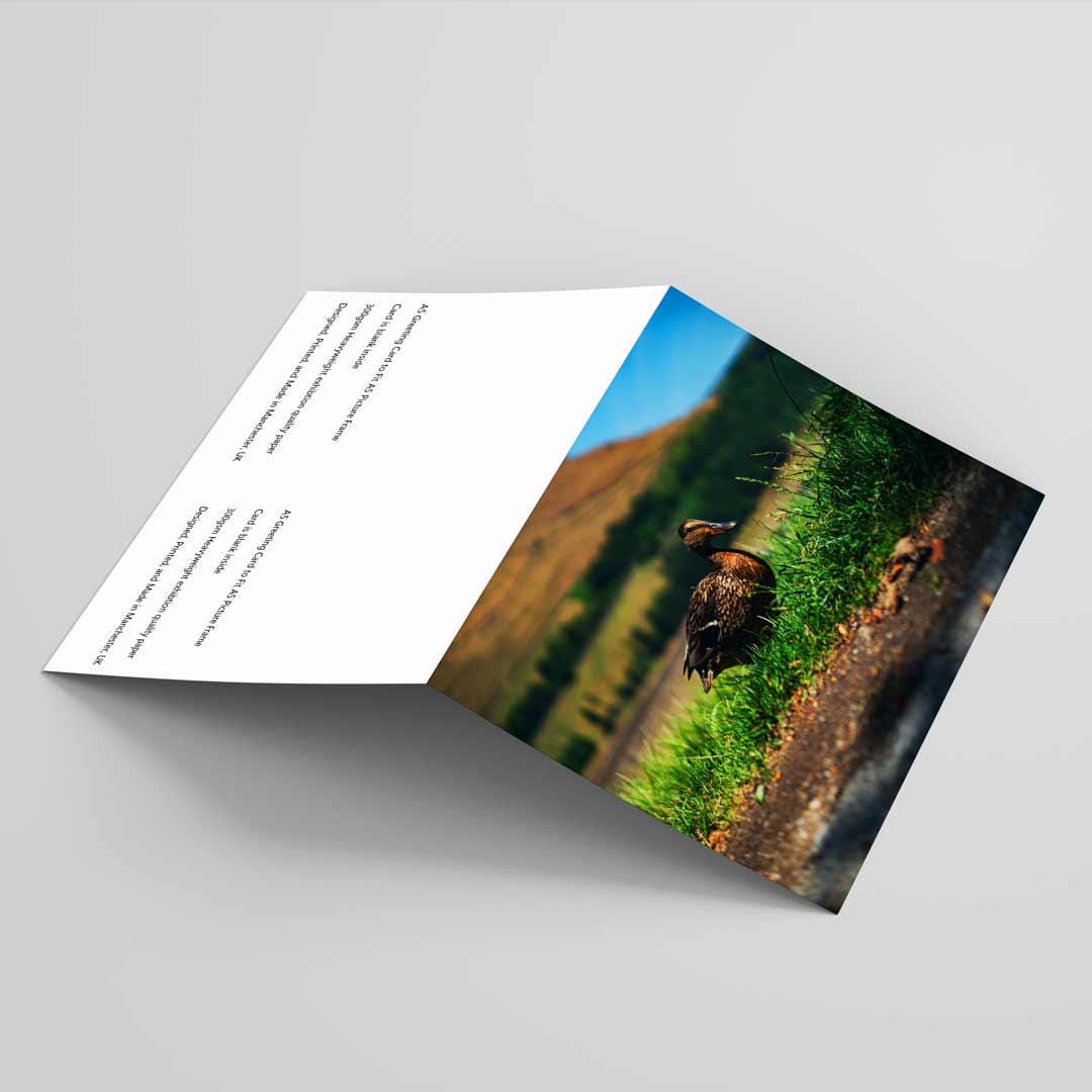 Wildlife-Inspired Greetings Card A5 to fit A5 Picture Frame, Street Photography, Wall Art