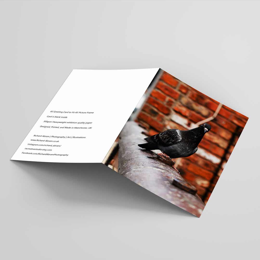 Funny Looking Pigeon Greetings Card A5 to fit A5 Picture Frame, Street Photography, Wall Art