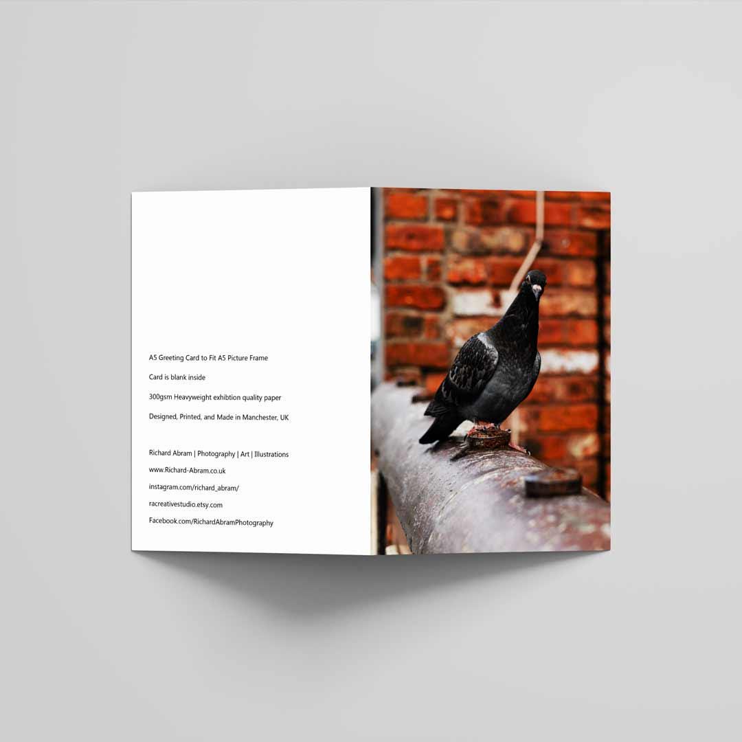 Funny Looking Pigeon Greetings Card A5 to fit A5 Picture Frame, Street Photography, Wall Art