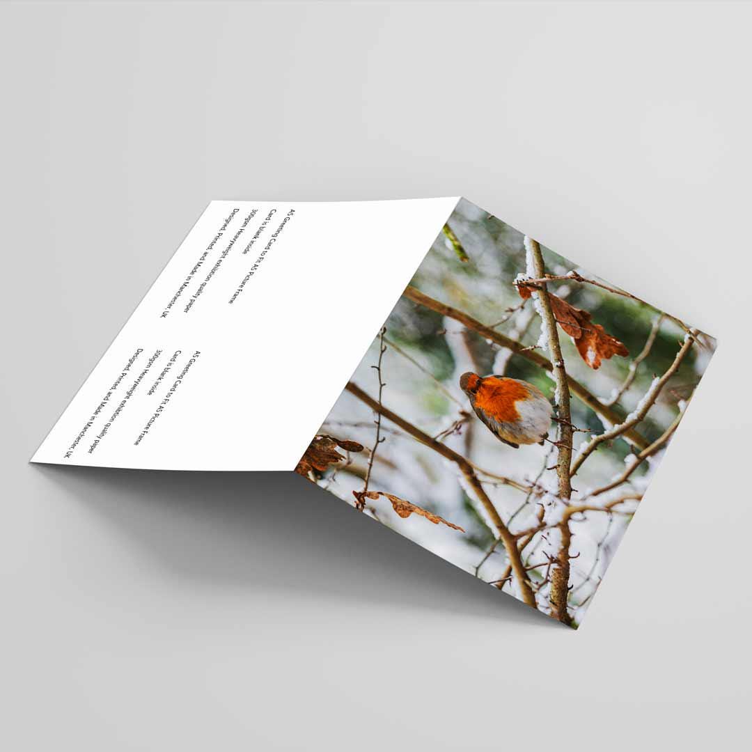 Robin Winter Themed Greetings Card A5 to fit A5 Picture Frame, Street Photography, Wall Art