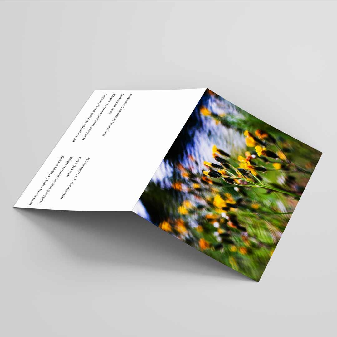 Nature-inspired Greetings Card A5 to fit A5 Picture Frame, Street Photography, Wall Art