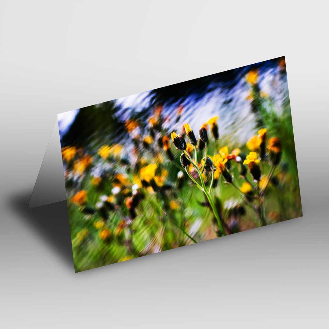 Nature-inspired Greetings Card A5 to fit A5 Picture Frame, Street Photography, Wall Art