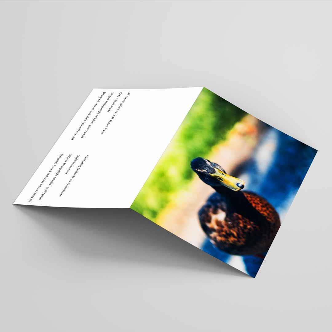 Wildlife-Inspired Greetings Card A5 to fit A5 Picture Frame, Street Photography, Wall Art