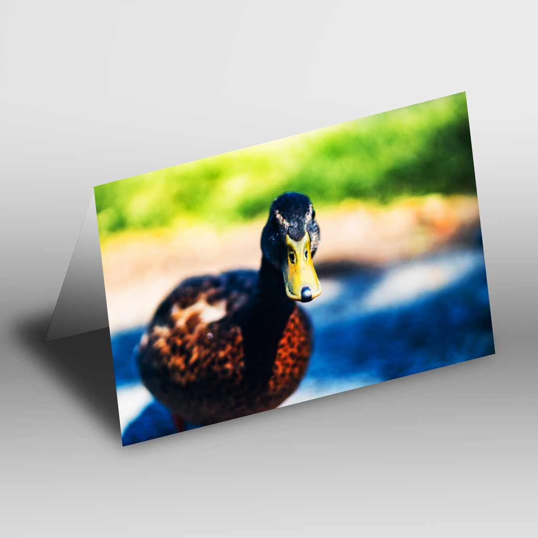 Wildlife-Inspired Greetings Card A5 to fit A5 Picture Frame, Street Photography, Wall Art